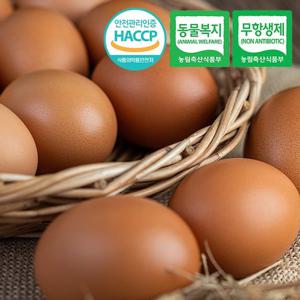 [동물복지/무항생제/HACCP] 웰굿 구운유정란 계란 60구(대-특란)
