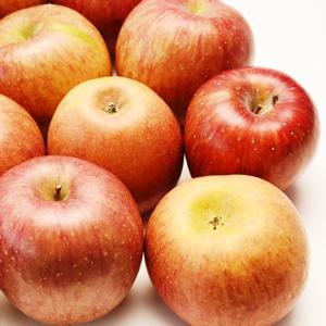 [산지직송] 과즙가득 의성 흠집 사과(대) 10kg