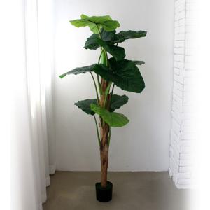  조아트  인조나무 조화 화분 클래식 알로카시아 150cm(11잎)