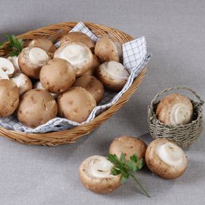 브라운 양송이버섯 포타벨라 특품 1kg 