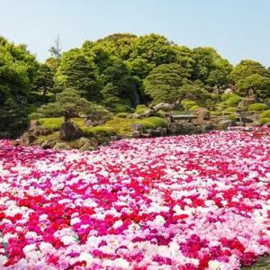 [일본에서 가장 아름다운 정원이 있는 온천여행] 요나고/아다치미술관 3일