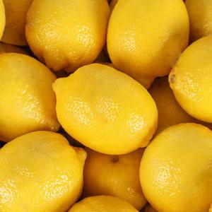 싱싱 상큼한 팬시 레몬 20과 (개당 120g  내외)