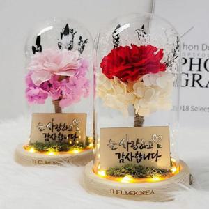 SoKoob[더라임코리아]수국 카네이션 꽃 유리돔 무드등 부모님 어버이날선물