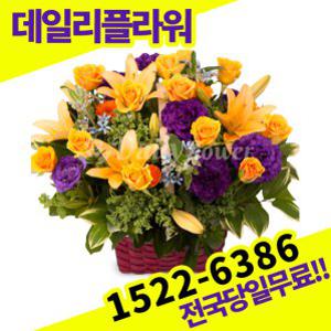 노랑장미혼합 꽃바구니 꽃배달서비스 당일배송