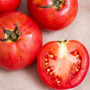 [자연품애 토마토]가정용 찰토마토 5kg 랜덤과