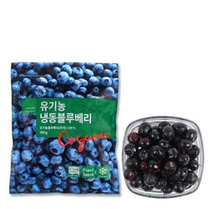 딜라잇가든 냉동 유기농 블루베리 500g x 4