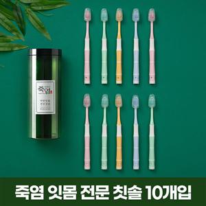 죽염(시린이/잇몸 택1) 전문칫솔10입(원통실속형)*1개