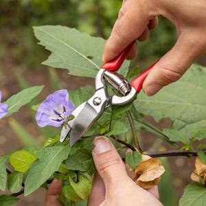 [7Gardeners] [영국인기제품] 미니 레드 전지가위