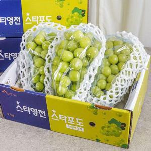 갤러리아_[농부마음]고당도 샤인머스캣 청포도 망고포도 2kg(4-5수)특품