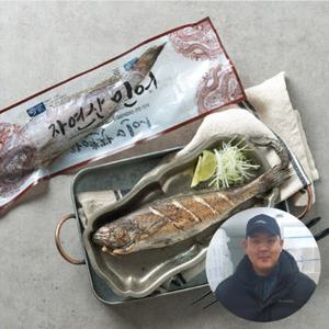 [산지장터] 전남 여수 최용원님의 반건조 국산민어 5미(230g x 5팩)