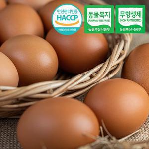 [동물복지/무항생제/HACCP] 웰굿 구운유정란 계란 60구(대-특란)