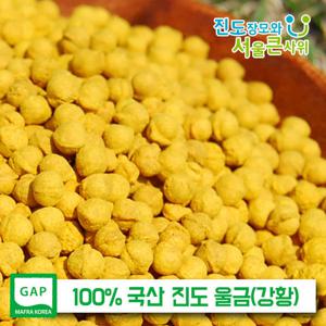 진도 울금(강황) 환 500g 농부 직접 재배 100% 진도산