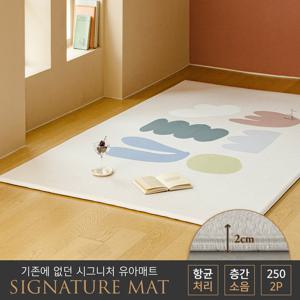 [아소방]2P 시그니처 유아놀이방매트 미네바250(250x150x2cm)