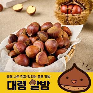 24년 공주 정안 햇밤 대령 알밤 2kg 대