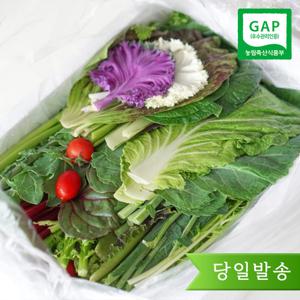 모듬채소 20종 양주농부 클로렐라 쌈채소 상추 샐러드 야채 800g