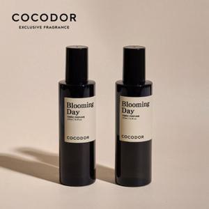 코코도르 섬유 탈취제 250ml X 2개