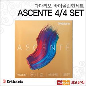 다다리오바이올린현세트 ASCENTE 4/4 SET / 아센테