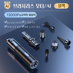 TNJ 13000pa 2in1 무선 차량용+가정용 청소기+송풍기