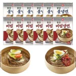 한성기업 물냉면 비빔냉면 2인분 x 12개 (총24인분)