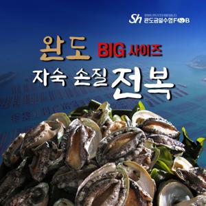 빅사이즈 완도손질전복 3미x6팩, 총 18미