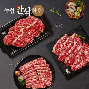 농협안심한우 한우 1++(7)등급 특수부위세트 살치살 150g+부채살 150g