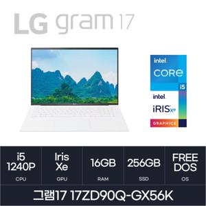 HMC LG전자 그램17 - 17ZD90Q-GX56K (RAM 16GB / NVMe 256GB)