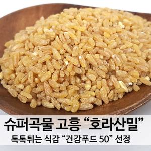 국산 호라산밀 1kg 24년 햇곡 출시 산지직송 슈퍼푸드 타임세일