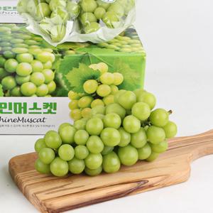 (신선집중) 고당도 노지 샤인머스켓 2kg 특품 3송이