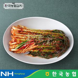 한국농협김치 전라도 순천 남도 파김치 1kg