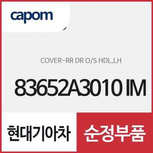 뒷문 외캐치 캡(외부 도어캐치 핸들커버),운전석쪽 (83652A3010IM) 레이