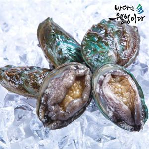 청정지역 완도 활 전복 1kg 21~25미 산소 포장 선물 세트 산지 직송 구이 찜 초복 꼬마