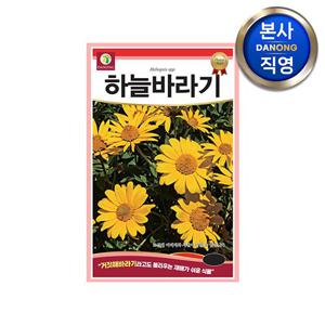 하늘바라기 씨앗 100립 . 거짓 해바라기 야생화 다년생 노란 꽃 화단 꽃씨 종자