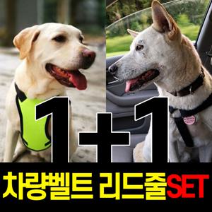 1+1 강아지목줄 안전벨트 풀세트 L/자동리드줄 런닝줄