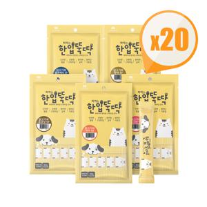 짜먹는한입뚝딱 국산 고양이간식 파우치 (60gx20P)100P 모음