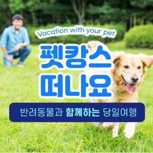 |애견동반_펫투어|춘천시티투어_춘천 남이섬+강아지숲테마파크/당일국내여행 11/16 단하루_출발