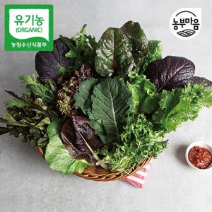 유기농 쌈채소 유럽 유러피안 샐러드 모듬 쌈 채소 야채 무농약 친환경 600g