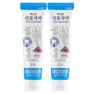 엑소덴 잇몸 치약 120g 2세트 치은염 치주질환 천연 자연유래성분