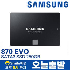 삼성 870 EVO SATA3 SSD 250G MZ-77E250B/KR 정품 판매점