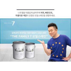 마이칼라 프리미엄 오일스테인 20L (S8601384)