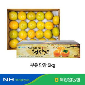 [특등급] GAP인증 농협단감 5kg(24~27과)