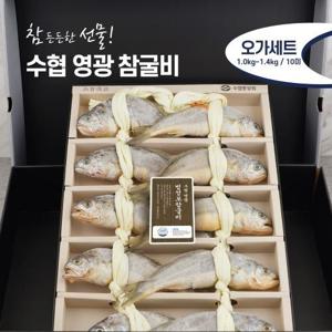 [수협중앙회]프리미엄 참굴비 1.2kg/10미+부직포가방