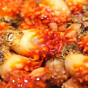 산지직송 통영 피멍게 1kg(중대)/5-9미내외