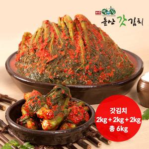 여수 돌산 갓김치 6kg(2kg+2kg+2kg)