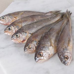 국내산 참조기 40-50미 2kg 구이용 생선