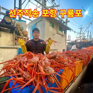 산지직송 포항 구룡포 자숙 연지홍게 2kg  5kg 당일조업