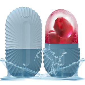 아이스 페이스 롤러 페이셜 스킨케어 아이스 롤러 세트, 스테인레스 스틸 페이셜 롤러 Gua Sha 페이스 도구 페이스 마사지 롤러 몰드 큐브