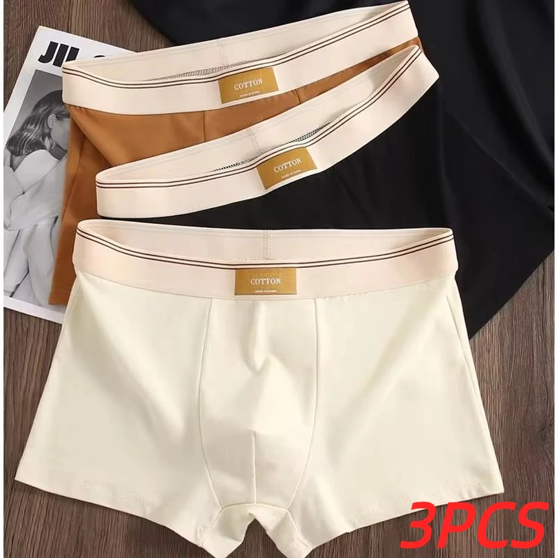 3pcs 남자 속옷 코 튼 BoxerShorts Hombre 팬티 남자 통기성 속옷 섹시 한 스포츠 컴포트 남성 복서 크기 L-4XL