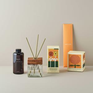 테일러센츠 오브제 디퓨저 일랑일랑허브 500ml