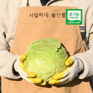 산지직송 제주 유기농 양배추 효능 유기농양배추 위에 좋은 음식 6kg 햇수확 겨울 양배추/ 무료배송