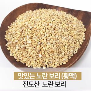 진도 노란보리 찰보리 햇곡 잡곡쌀 5kg 23년산 대용량 가성비